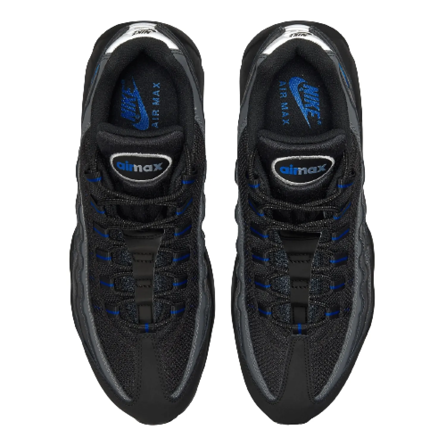 Air Max 95 Black Royal