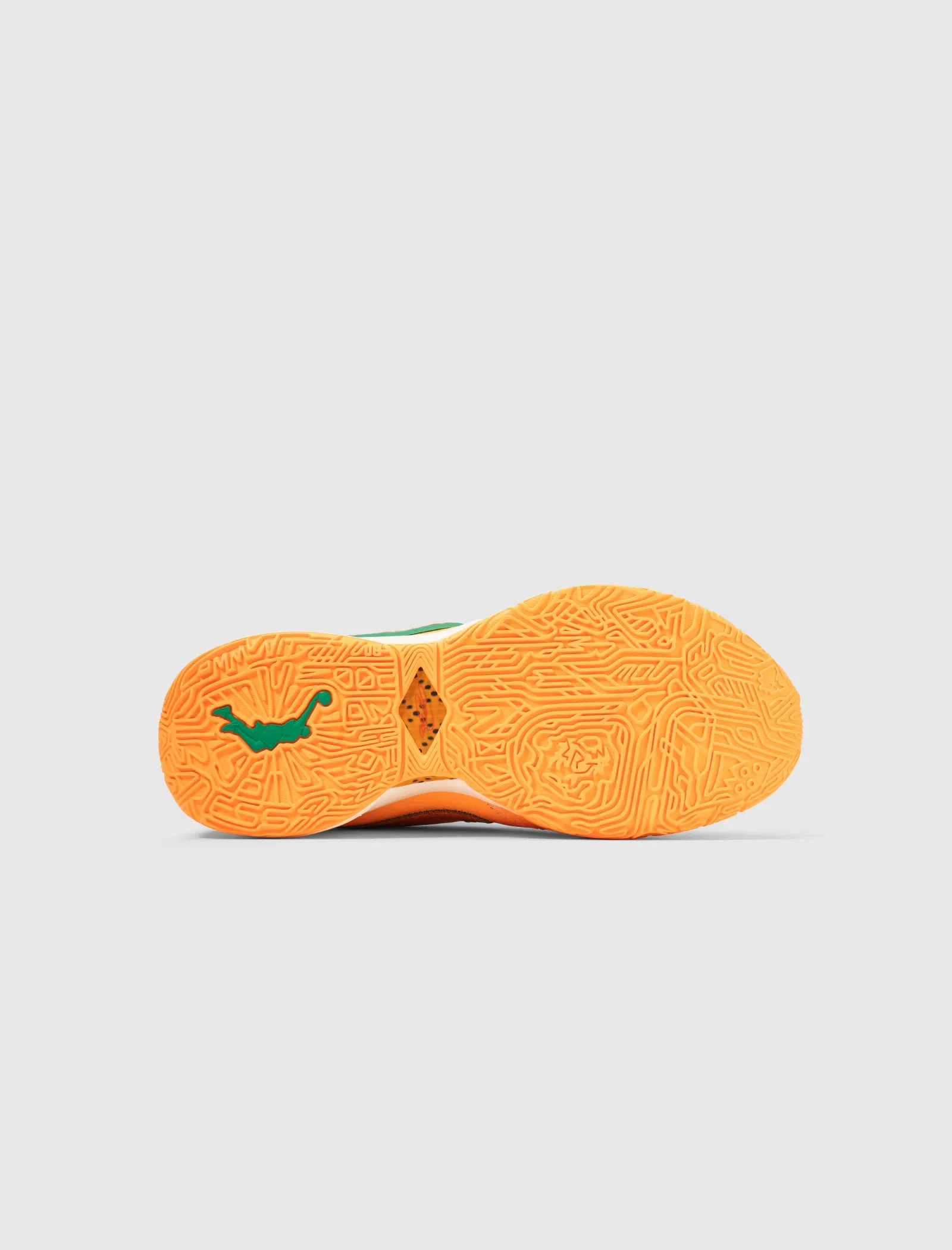 APB x FAMU LEBRON XXs “ORANGE”