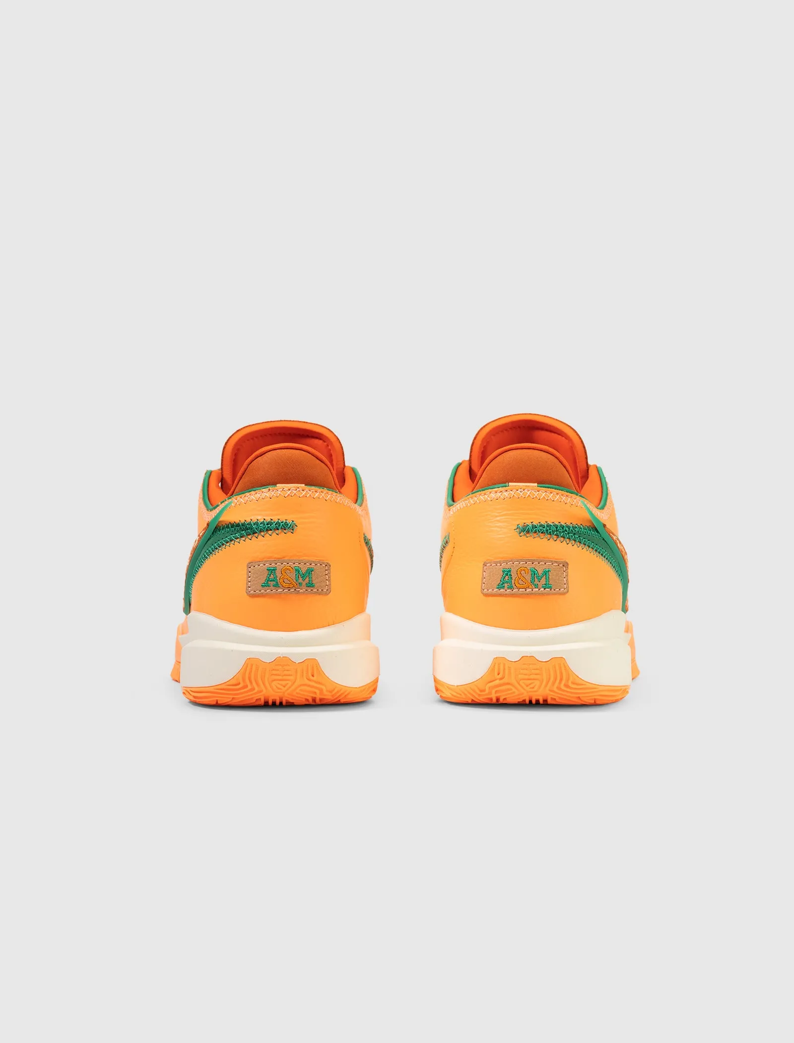 APB x FAMU LEBRON XXs “ORANGE”