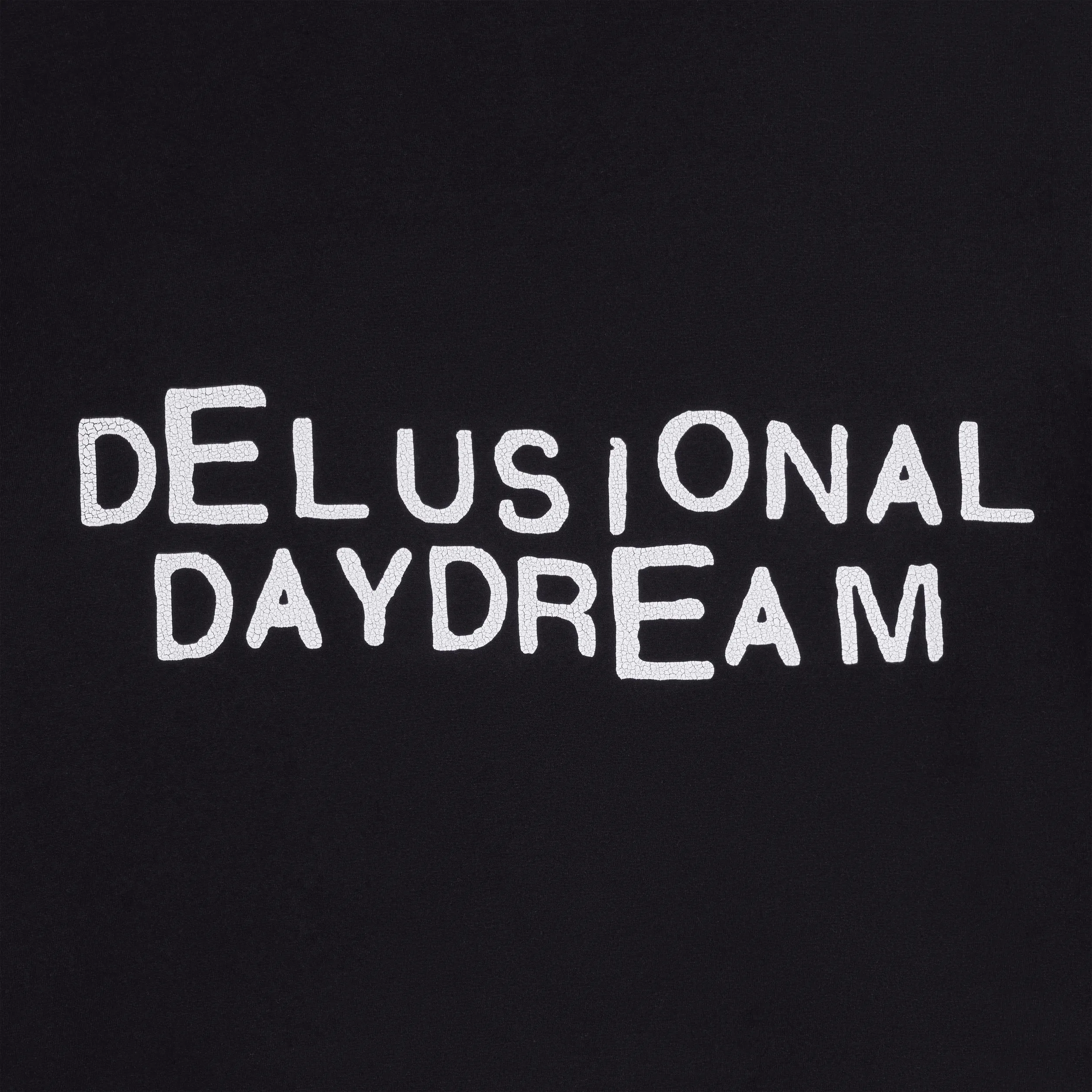 CELINE  |DELUSIONAL DAYDREAM T-SHIRT IN COTTON  2X59M671Q.38AW