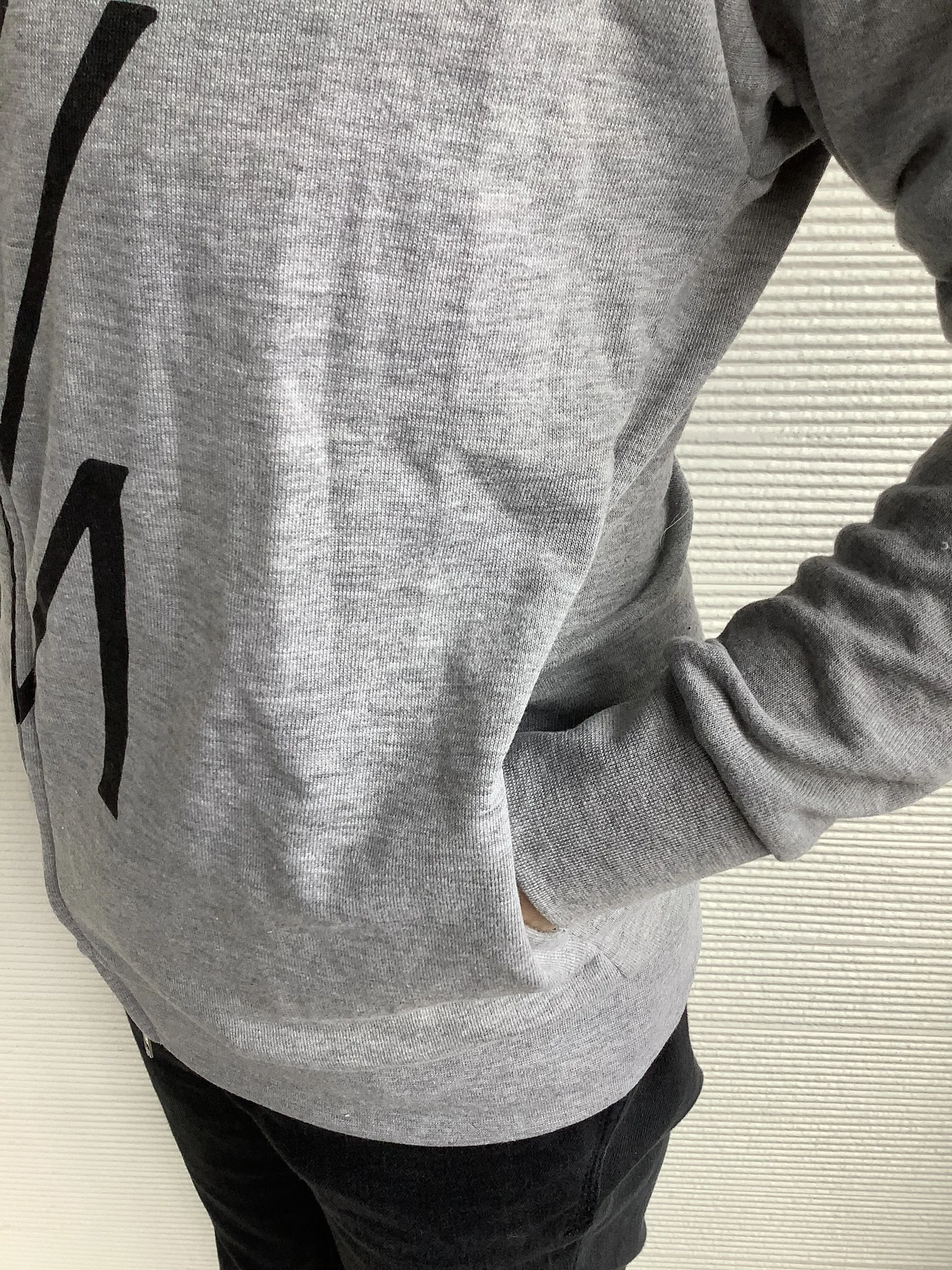 HOLLYWOOD MADE  |Unisex Street Style Long Sleeves Plain Cotton Logo Hoodies