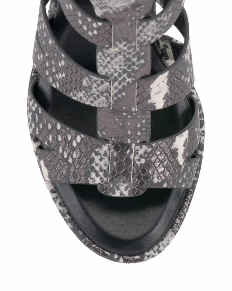 Vince Camuto FRENTON PEWTER MULTI/STARLIGHT SNAKE